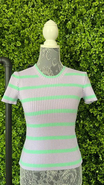 Blusa Tricot Modal Lilas e Verde